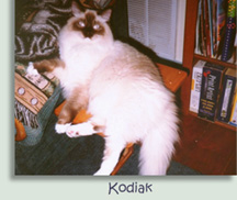 Kodiak
